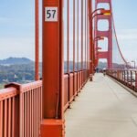 apex opportunity engine initiative