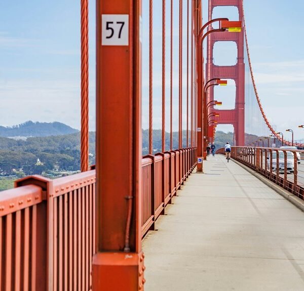 apex opportunity engine initiative