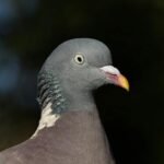 contact information overview guide