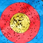 digital edge advantage target