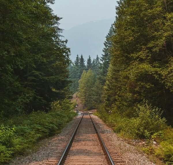 explosive stellar growth engine