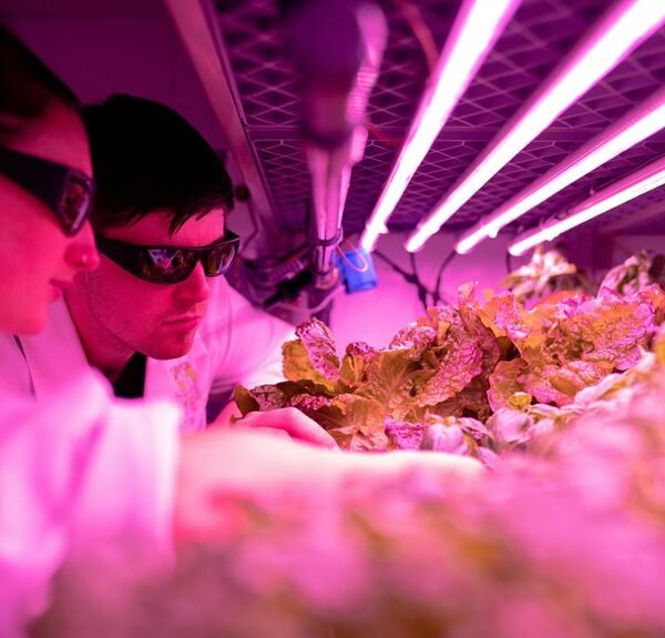 innovative growth strategy unleashed