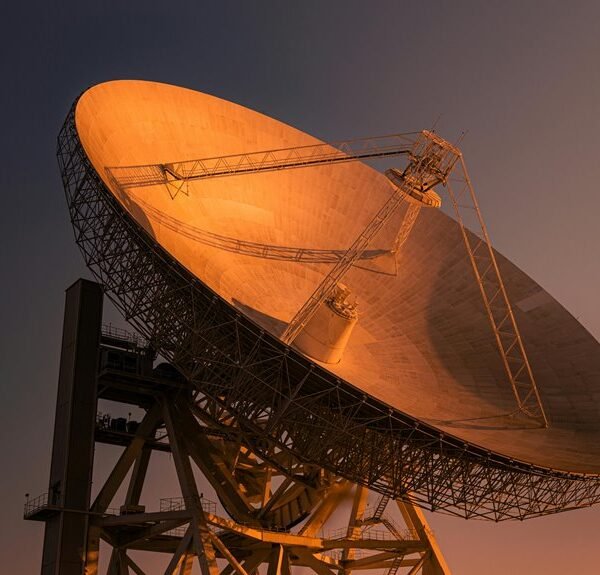 omega orbit growth track